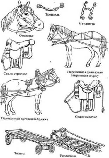 Как нужно запрягать лошадь