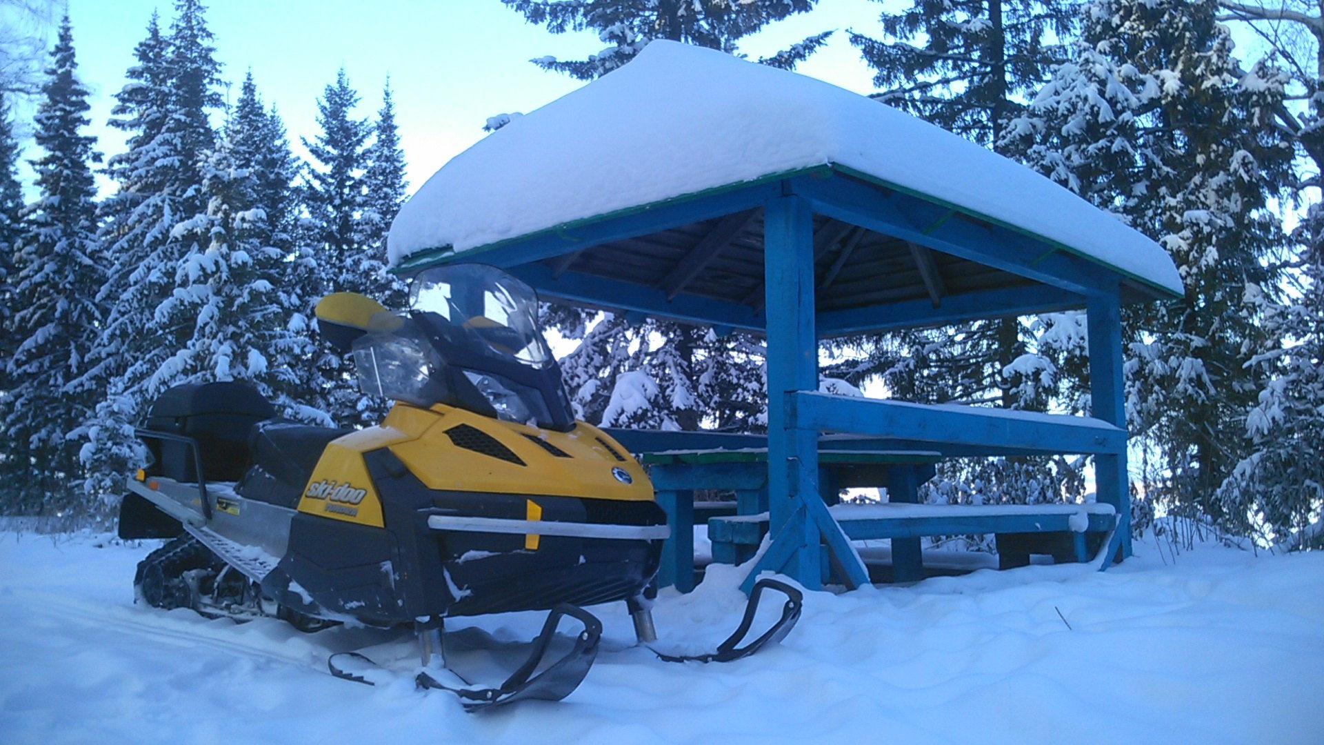 Снегоход BRP Ski-Doo Skandic WT 550