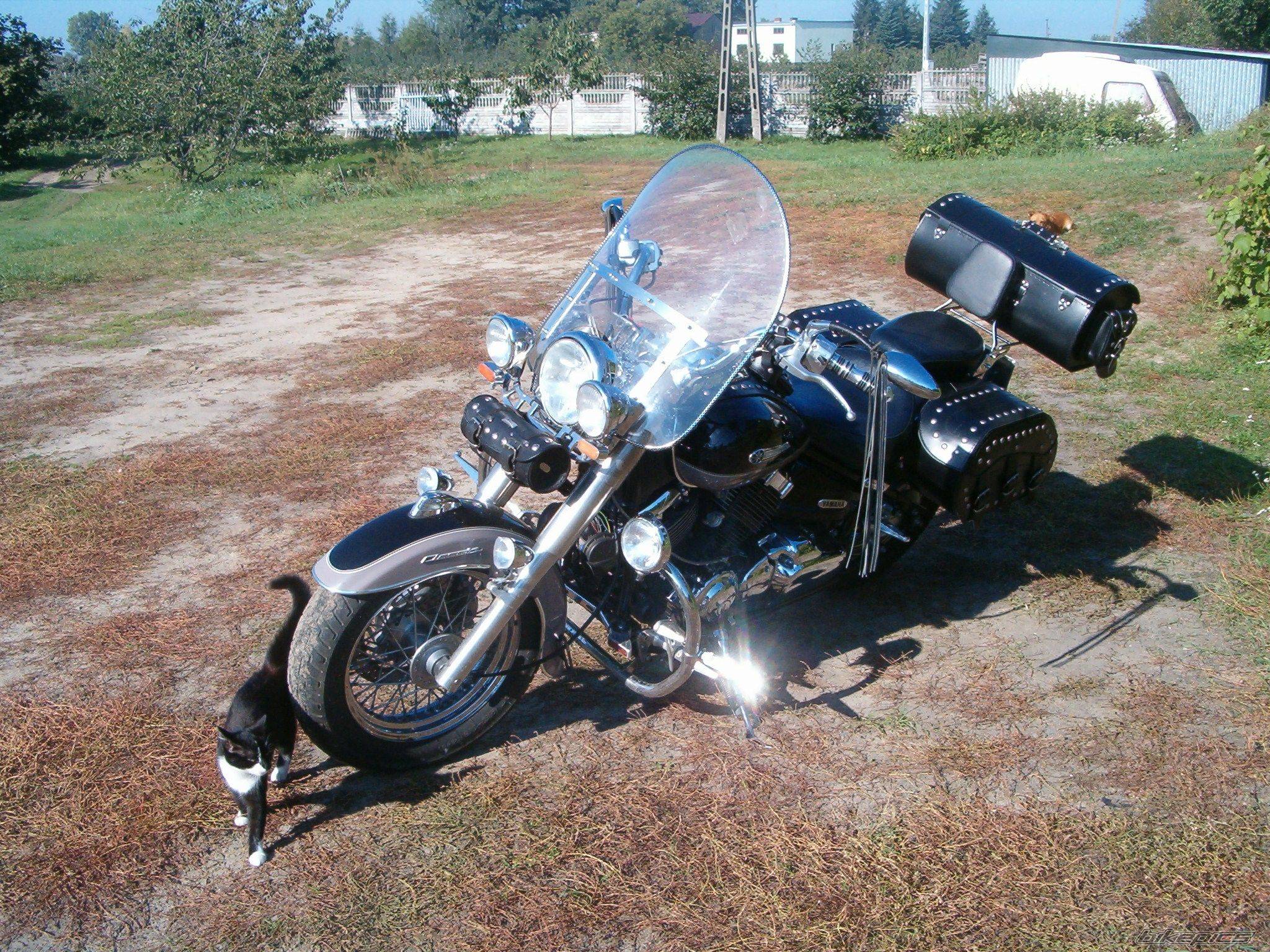 Обзор мотоцикла yamaha xvs 1100 drag star (v-star)