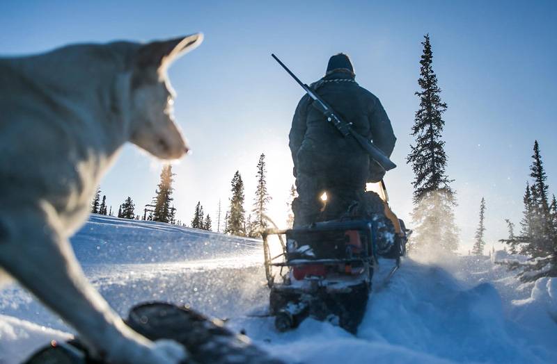 Какой снегоход для охоты и рыбалки выбрать: рейтинг лучших моделей