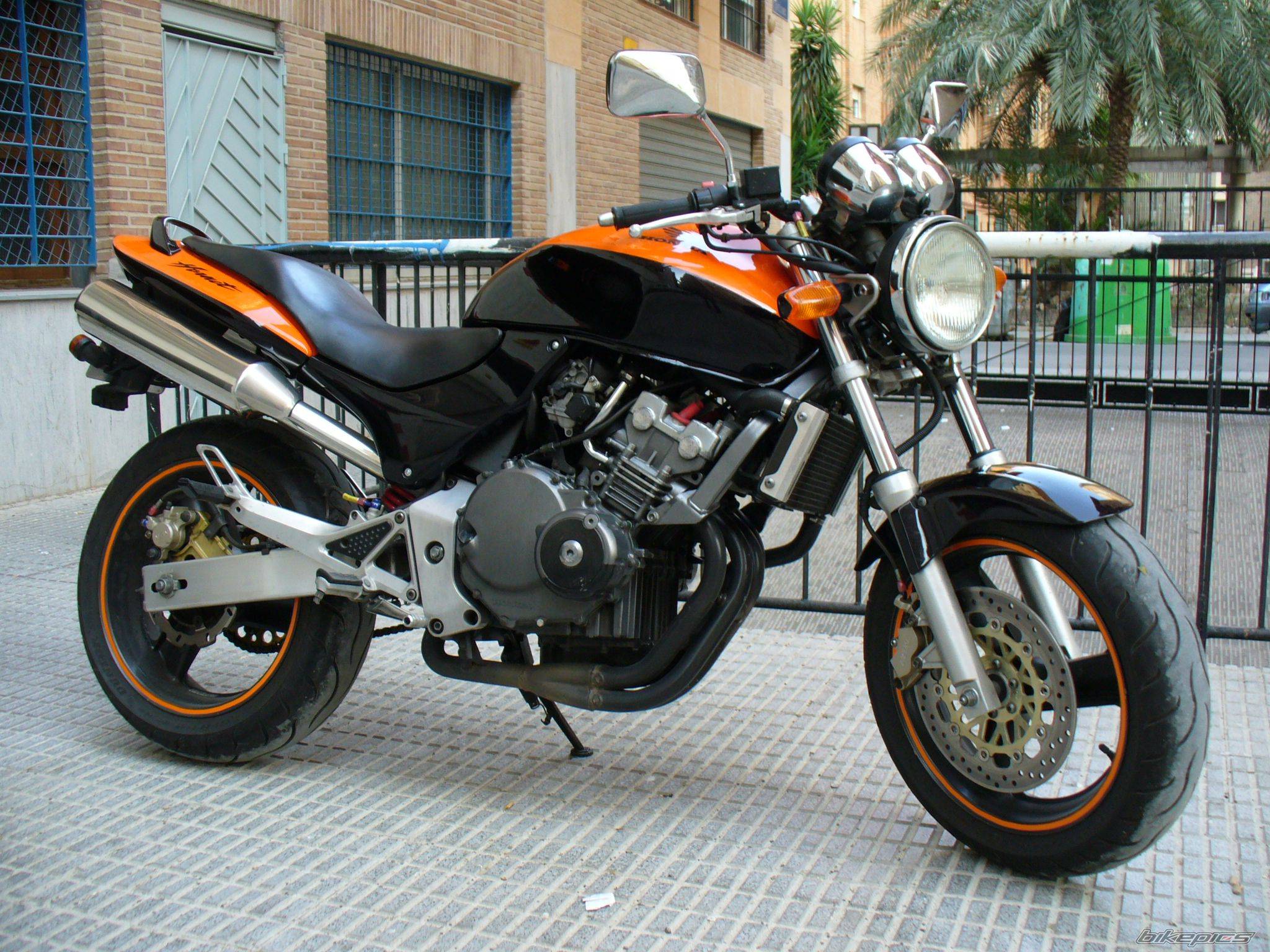 Honda hornet 250 фото