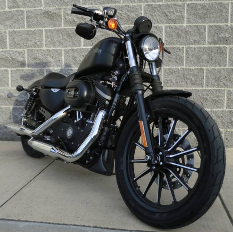 Harley-davidson iron 883, в новом облике, (6 фото)