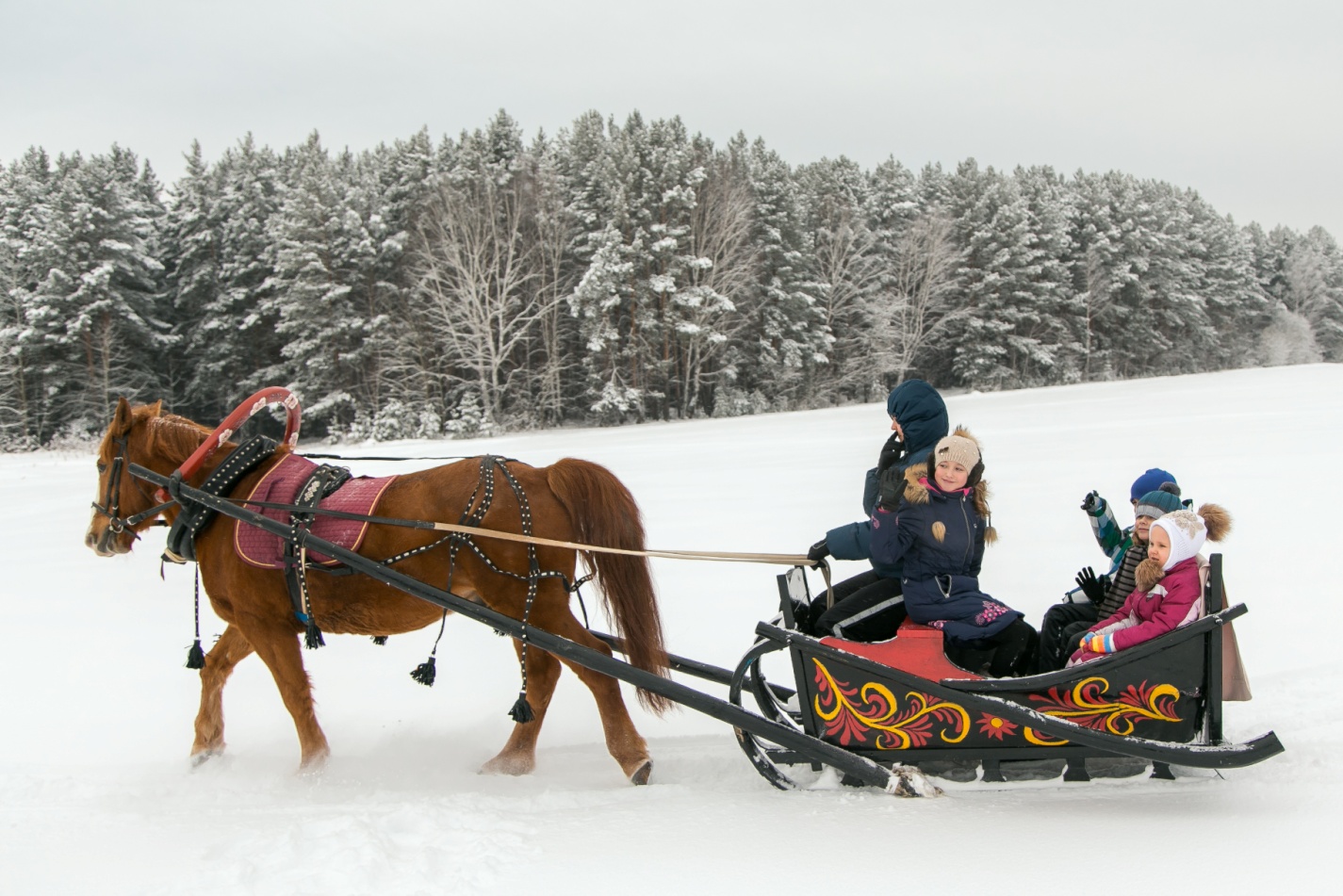 Русские сани для лошади: изготовление своими руками, конные телеги