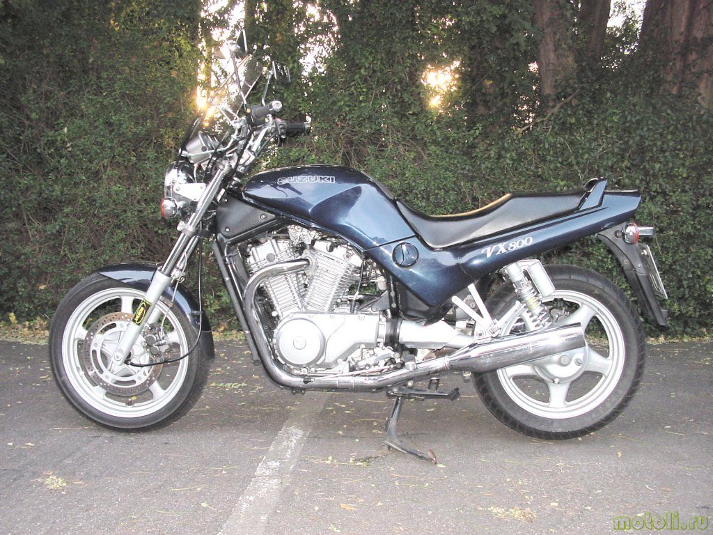 Suzuki vx 800
