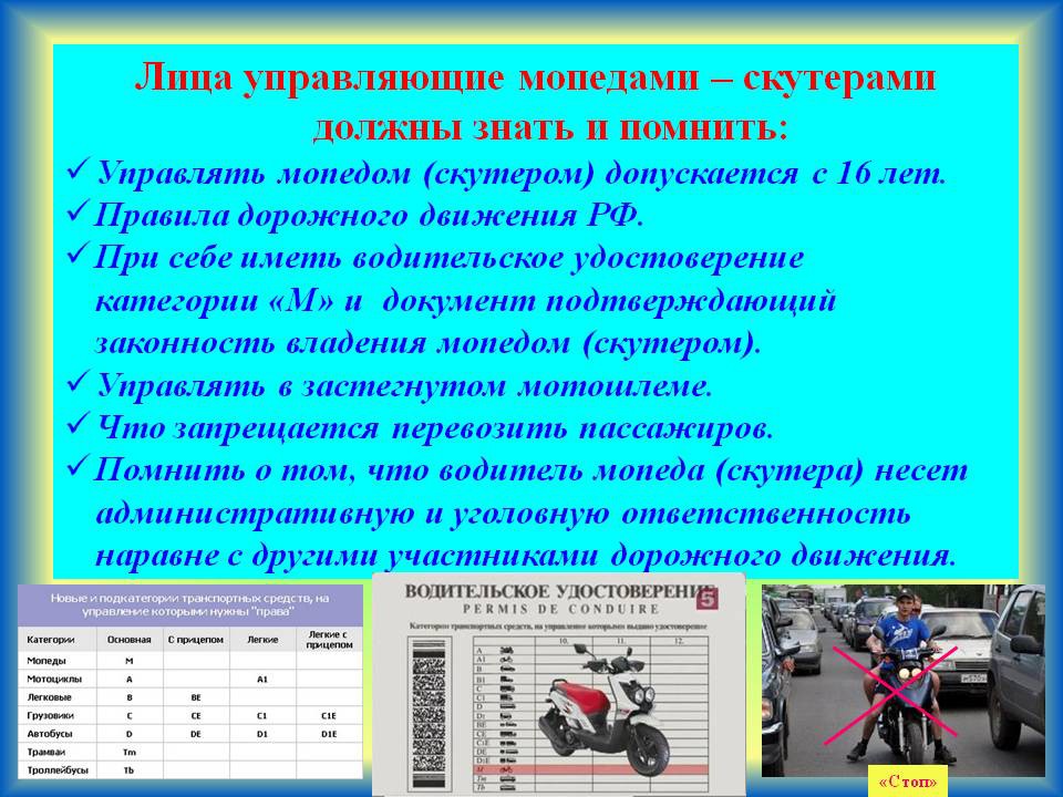 Тема 24. дополнительные требования к движению велосипедистов и водителей мопедов - учебник