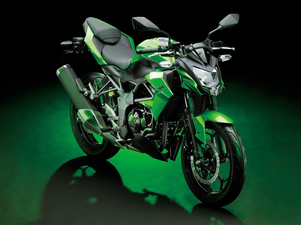 Информация по мотоциклу kawasaki z250