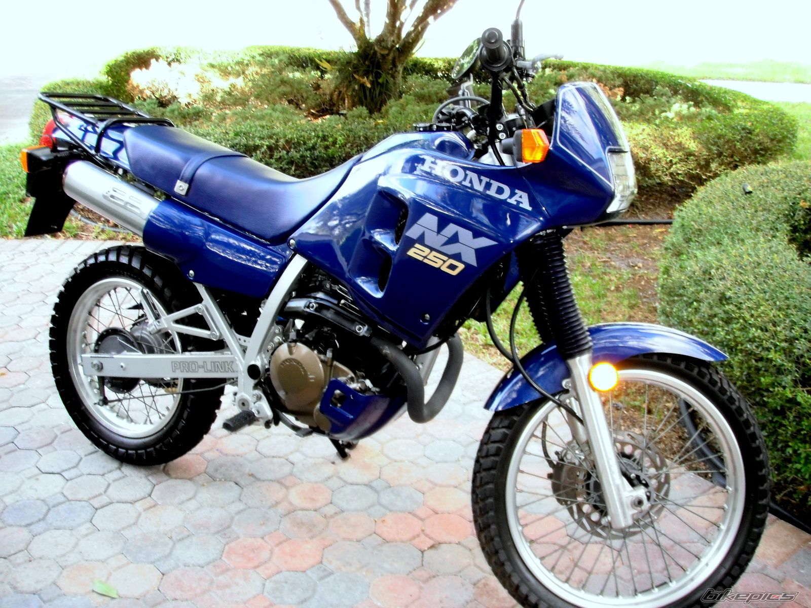 Honda ax-1 (nx 250)