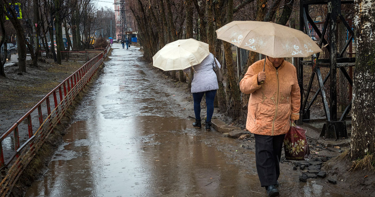Прогноз погоды на 2022 год в россии: какой будет зима, весна, лето, осень?