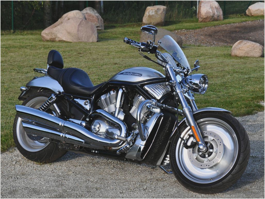 Harley davidson v rod (muscle, custom): обзор и технические характеристики